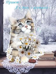 Красивые анимационные открытки с различными приветствиями скачать бесплатно.