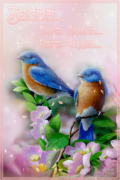 Красивые открытки с первым днем весны. Открытки с первым днем весны скачать б...