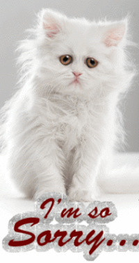 Красивые открытки с извинениями скачать бесплатно. Открытки прости меня gif.