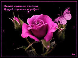 Скачать бесплатно открытки с пожеланиями счастья. Мерцающие открытки желаю сч...