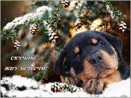 Анимационные открытки скучаю по тебе. Открытки я так скучаю скачать бесплатно.