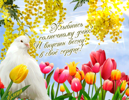 Весёлые открытки с пожеланиями улыбнись. Открытки с улыбкой скачать бесплатно.