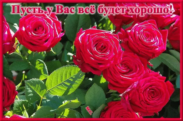 Веселые открытки с пожеланиями все будет хорошо скачать бесплатно.