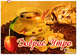 Открытка с пожеланиями доброго утра на каждый день скачать бесплатно 