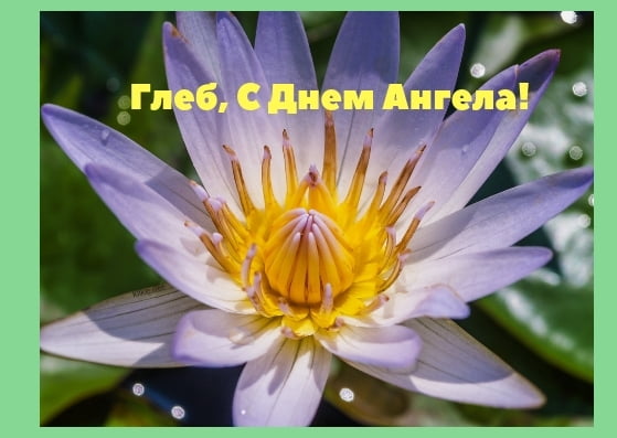 Анимационные открытки с именем Глеб. Открытки с днём рождения Глеб.