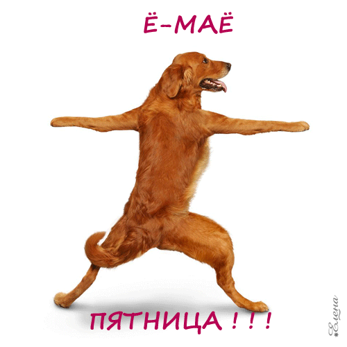 Прикольные открытки на пятницу. Открытки с пожеланиями на пятницу скачать бес...