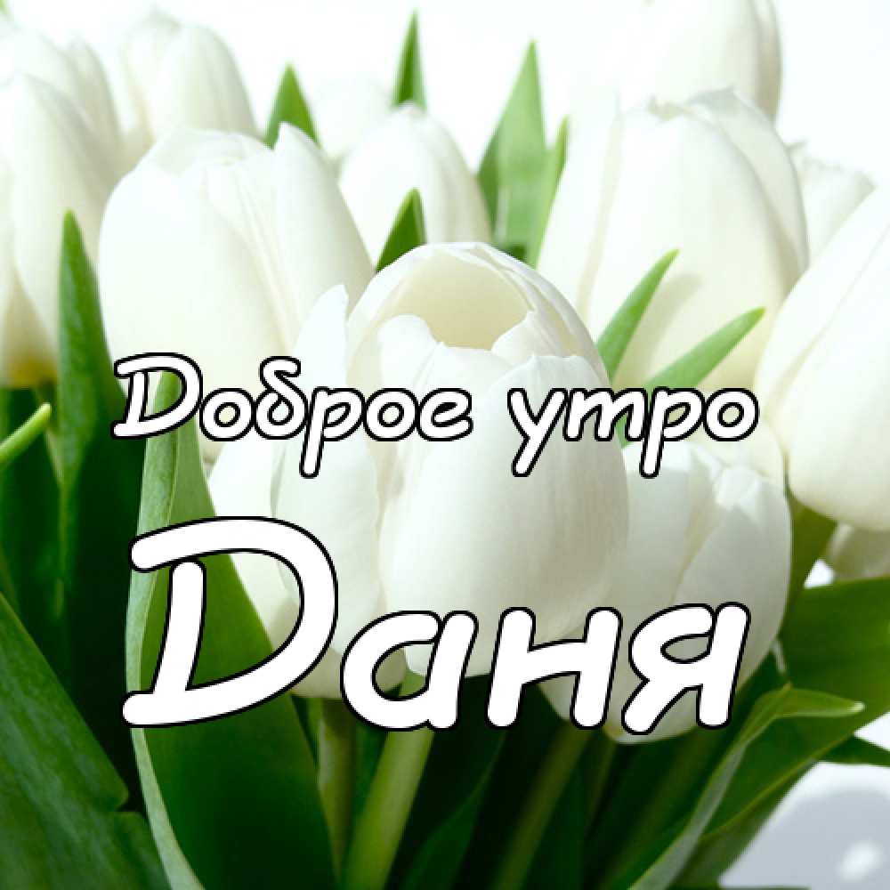 Открытки с именем Даниил gif. Открытки с именем Данил скачать бесплатно.