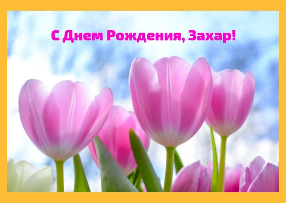 Открытки с днём рождения Захар. Открытки с именем Захар gif. Открытки с мужск...