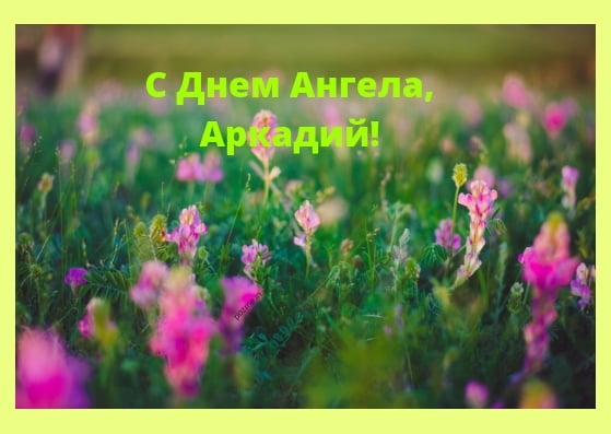 Открытки с именем Аркадий скачать бесплатно. Анимационные открытки с именами.