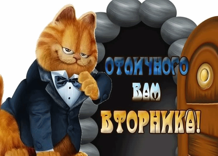 Позитивные открытки на вторник. Картинки про вторник скачать бесплатно.