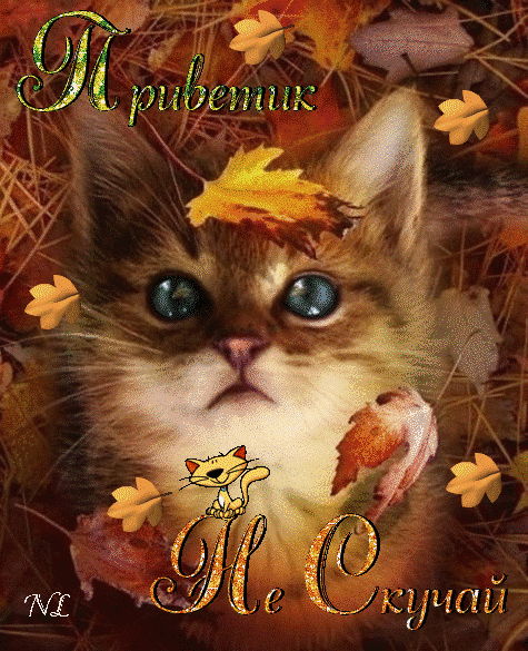 Веселые открытки с приколами не скучай скачать бесплатно.    