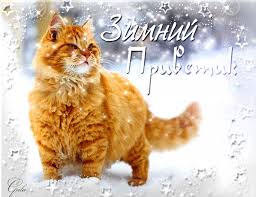 Анимационные открытки с зимним пейзажем. Открытки времена года. Новогодние от...