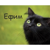 Открытки Открытки с днём рождения Ефим. Открытки с именем Ефим с анимациями gif. Открытки с именем Ефим скачать бесплатно. Поздравительные открытки с мужскими именами. Открытки с днём рождения Ефим. Открытки с именем Ефим с анимациями gif.   