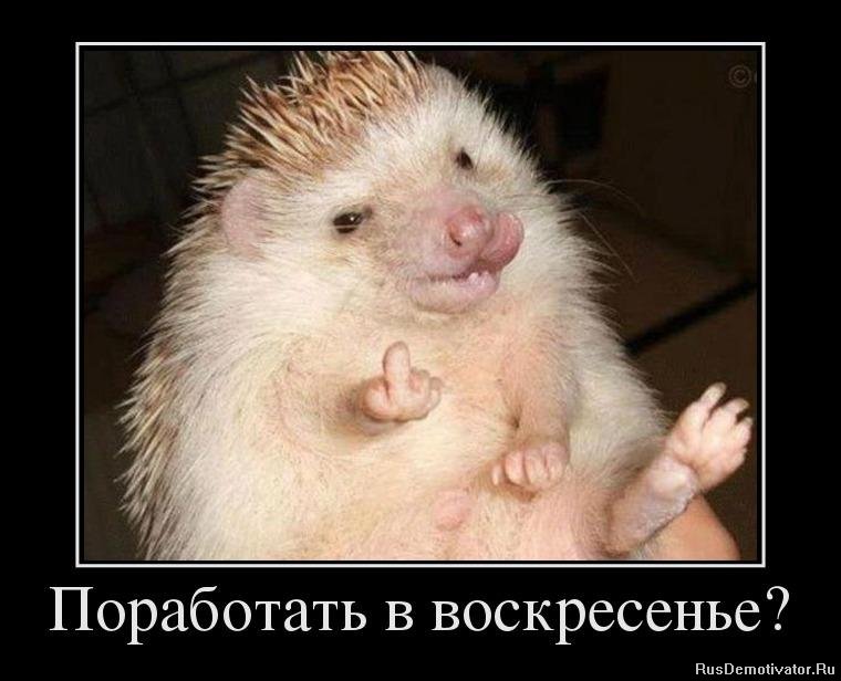 Мерцающие открытки про воскресенье. Открытки на воскресное утро.