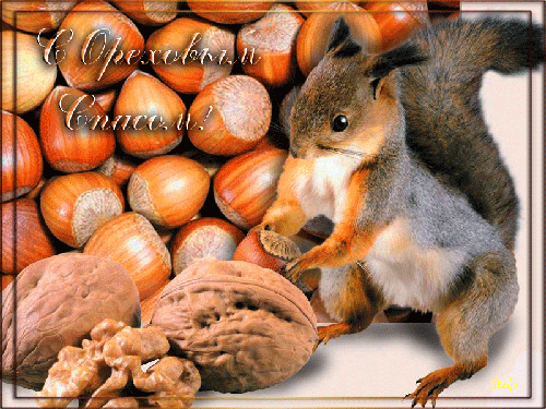 Оригинальные открытки с поздравлениями на Ореховый Спас скачать бесплатно.