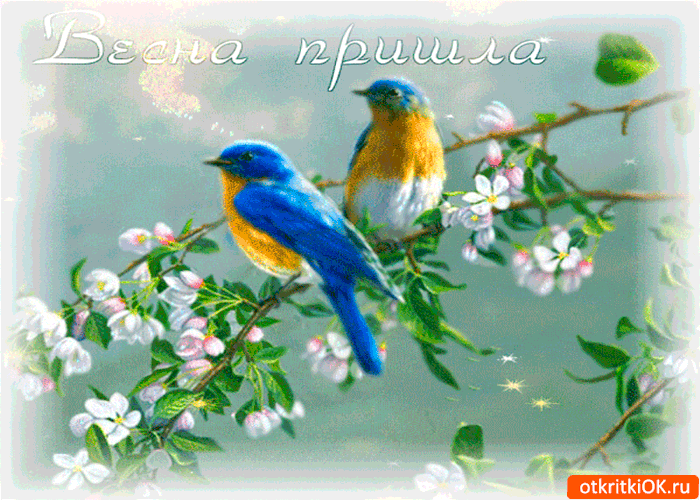 Красивые открытки с первым днем весны. Открытки с первым днем весны скачать б...