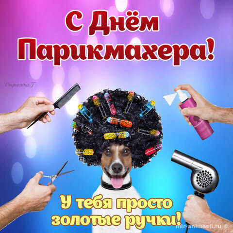 Веселые открытки на профессиональный праздник день парикмахера.