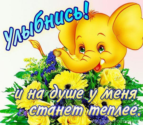 Весёлые открытки с пожеланиями улыбнись. Открытки с улыбкой скачать бесплатно.