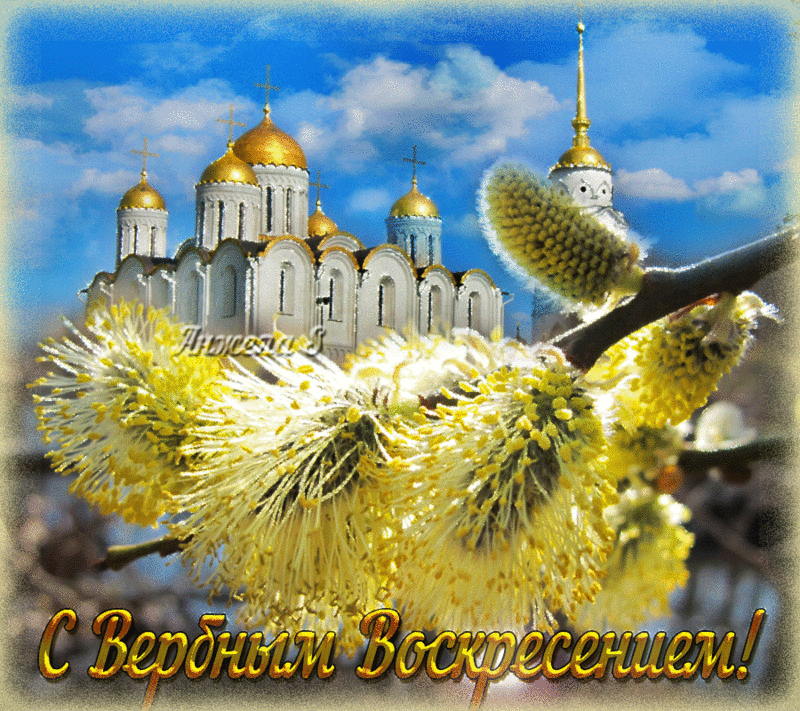 Поздравительные открытки с Вербным Воскресеньем скачать бесплатно.