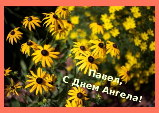 Анимационные открытки с именем Павел. Открытки с именем Паша. С днём рождения...