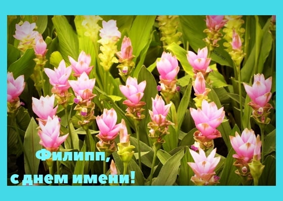 Красивые открытки с мужскими именами. С днём рождения Филипп открытки. Открыт...