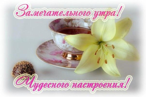 Открытка с пожеланиями доброго утра на каждый день скачать бесплатно 