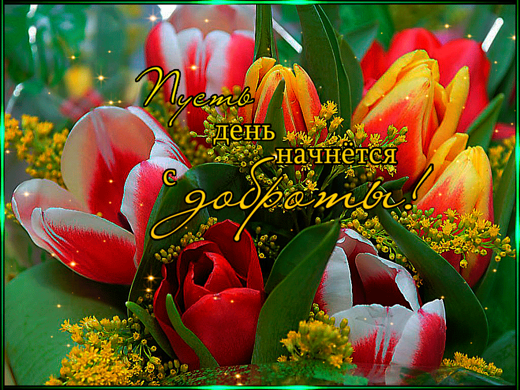 Анимационные открытки приятного вечера. Скачать бесплатно открытки хорошего в...