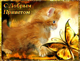 Красивые анимационные открытки с различными приветствиями скачать бесплатно.