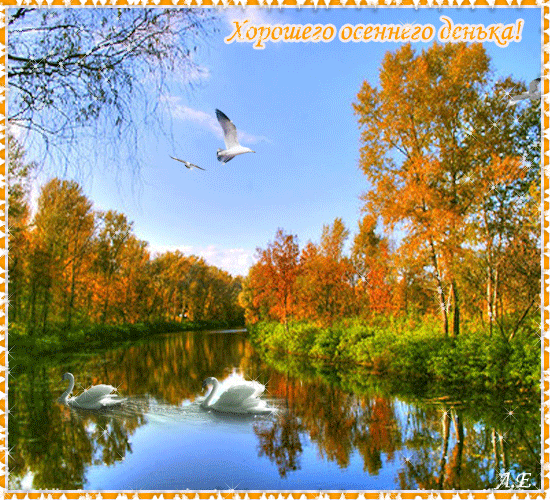 Оригинальные открытки с изображением осени. Открытки осень скачать бесплатно.