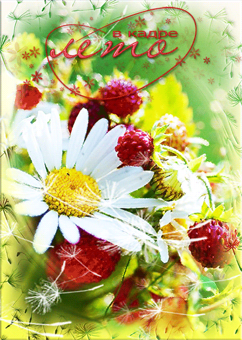 Открытки на тему осени скачать бесплатно. Анимационные открытки про лето.