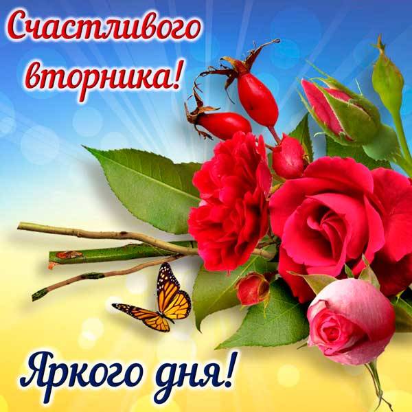 Позитивные открытки на вторник. Картинки про вторник скачать бесплатно.