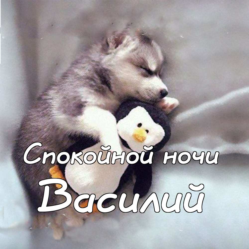 Анимационные открытки с именем Василий. Открытки с днём рождения Вася.