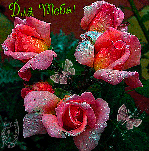 Красивые открытки для тебя скачать бесплатно. Анимационные открытки тебе gif