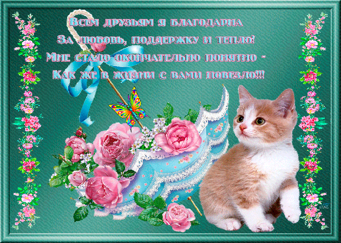 Красивые открытки для любимых друзей. Открытки о дружбе скачать бесплатно.