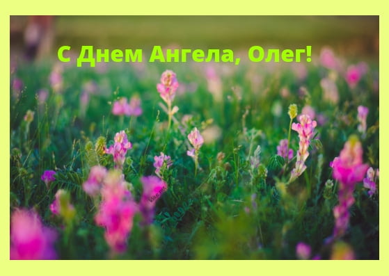 Открытки с днём рождения Олег. Открытки с именем Олег с признаниями.
