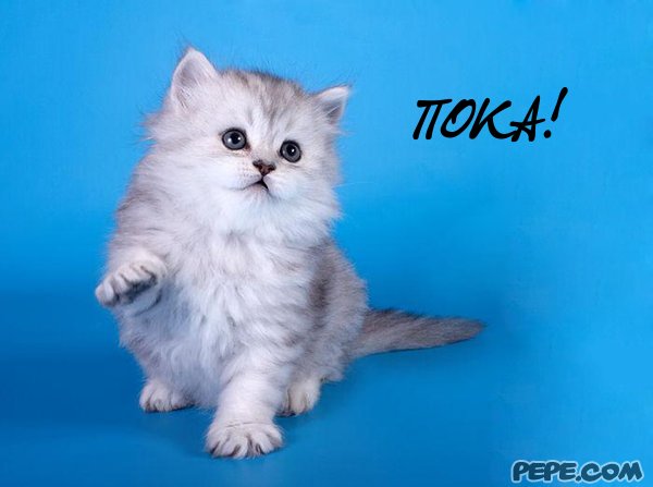 Бесплатные открытки с прощаниями. Открытки до скорой встречи скачать бесплатно.