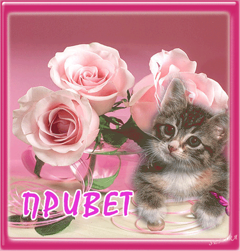 Красивые анимационные открытки с различными приветствиями скачать бесплатно.