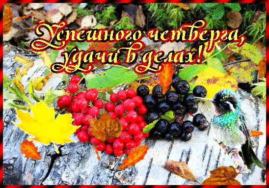 Открытки отличного четверга скачать бесплатно. Прикольные открытки на четверг...