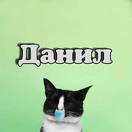 Открытки с именем Даниил gif. Открытки с именем Данил скачать бесплатно.