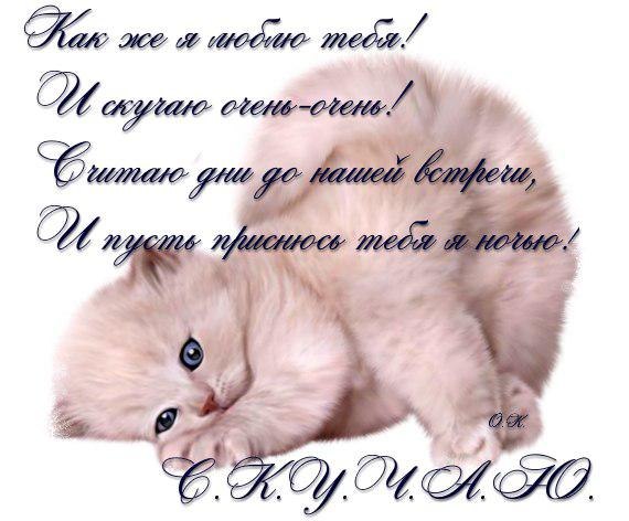 Анимационные открытки скучаю по тебе. Открытки я так скучаю скачать бесплатно.