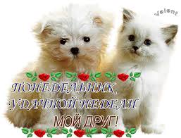 Открытки с пожеланиями легкого понедельника скачать бесплатно.