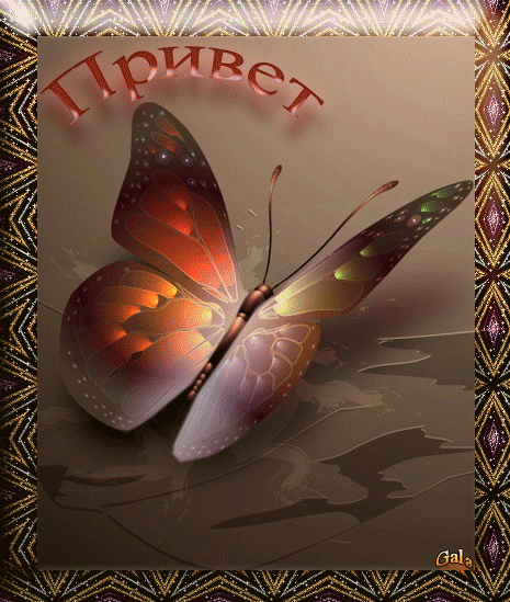 Красивые анимационные открытки с различными приветствиями скачать бесплатно.