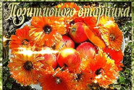 Позитивные открытки на вторник. Картинки про вторник скачать бесплатно.