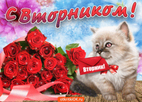 Позитивные открытки на вторник. Картинки про вторник скачать бесплатно.