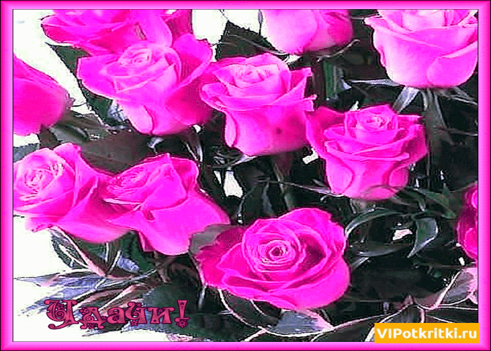 Открытки желаю удачи скачать бесплатно. Красивые открытки с пожеланиями удачи.