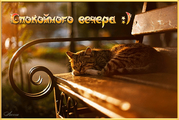 Анимационные открытки приятного вечера. Скачать бесплатно открытки хорошего в...