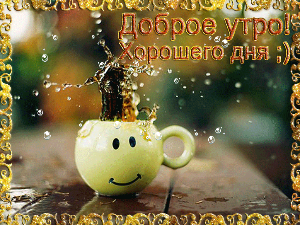 желаю позитивного дня фото чем