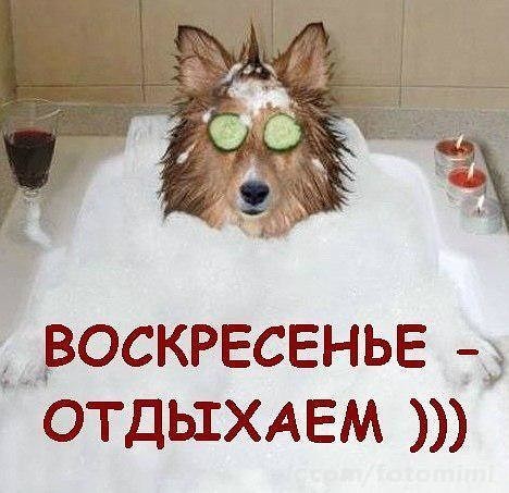 Мерцающие открытки про воскресенье. Открытки на воскресное утро.