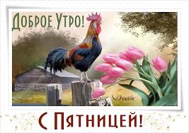 Открытки Прикольные открытки на пятницу. Открытки с пожеланиями на пятницу скачать бесплатно. Открытки с пожеланиями жаркой пятницы. Прикольные открытки с надписью отличной вам пятницы. Открытки на пятничный вечер скачать бесплатно. Красивые картинки на пятницу.