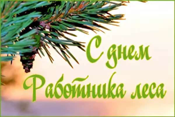 Поздравление главы района с днем работника леса